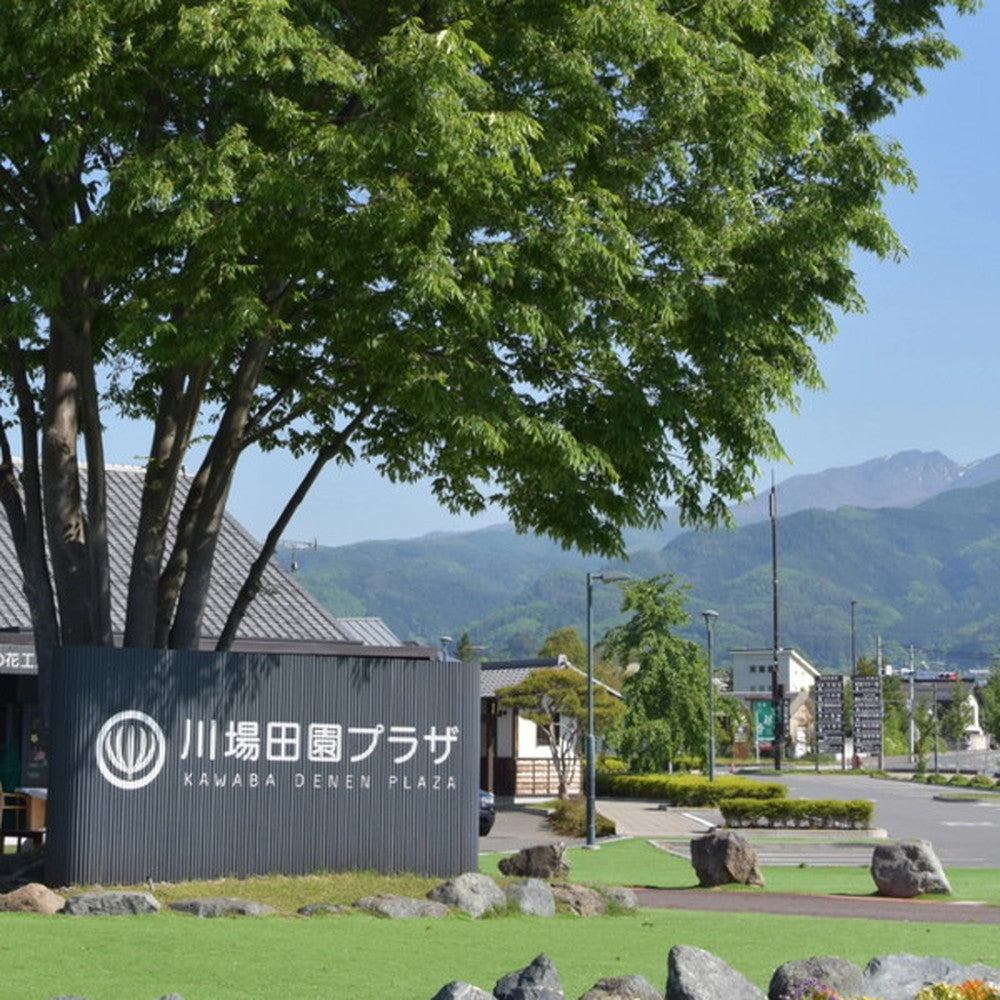 【ギフトカード】KAWABA(カワバ)川場ビールセット(ヴァイツェン4本)