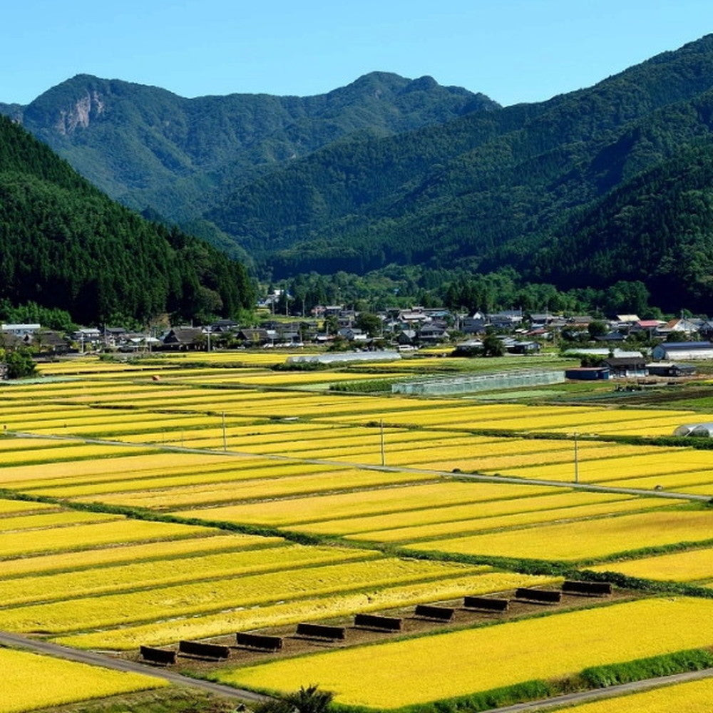 【ギフトカード】KAWABA(カワバ)川場ビール飲み比べ 3種3本(ヴァイツェン・エール・ピルスナー各1本)