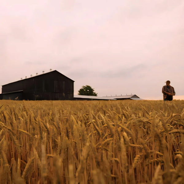 クラフトウイスキー　メーカーズマーク　46　700ml（6本）