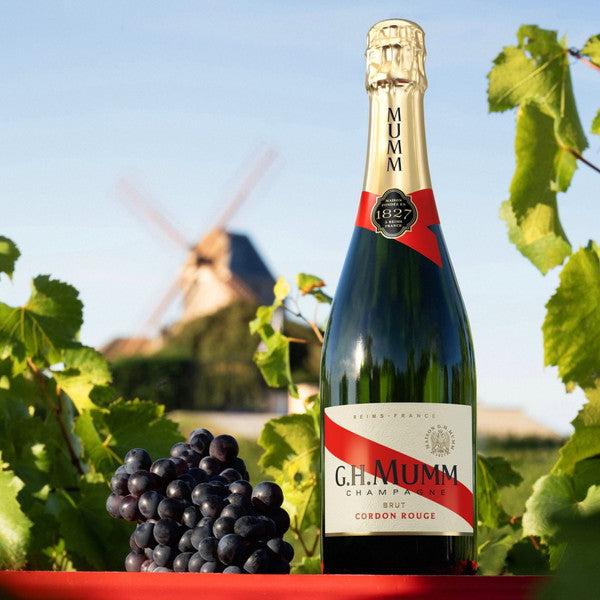 マム コルドン ルージュ ブリュット 箱付 750ml 12本