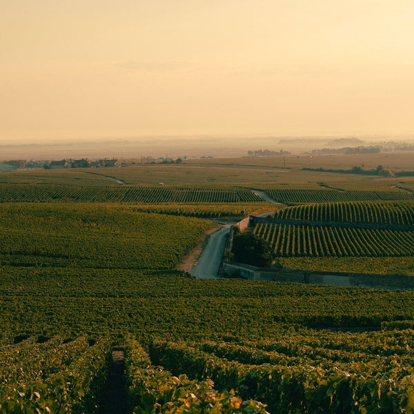 ヴーヴクリコ ロゼ ヴィンテージ 2015 750ml×12本