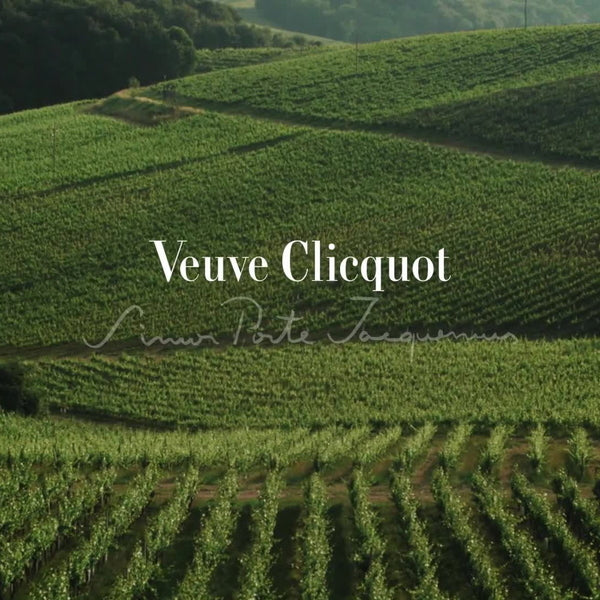 ヴーヴクリコ ブリュット ヴィンテージ 2015 750ml×2本