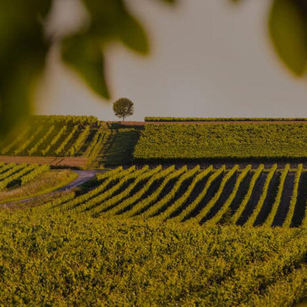 【ギフトカード】Hennessy（ヘネシー） X.O 700ml箱付 1本