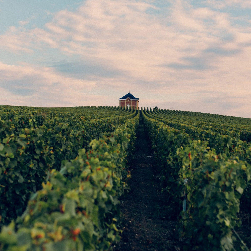 【ギフトカード】モエ・エ・シャンドン グラン ヴィンテージ  2016  750ml 箱付1本