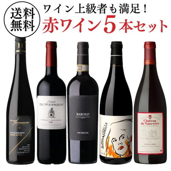 自信を持っておすすめする ワイン上級者も満足！赤ワイン5本セット【常温便】