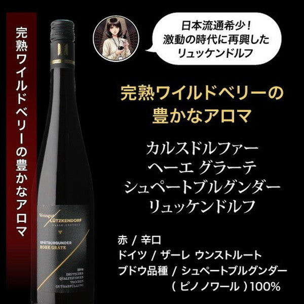 自信を持っておすすめする ワイン上級者も満足！赤ワイン5本セット【常温便】