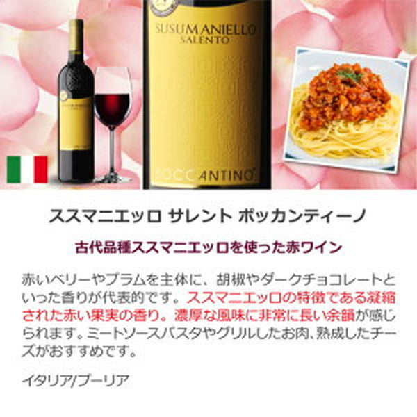 フランス＆イタリア 銘醸2カ国 赤ワイン飲み比べ10本セット【常温便】