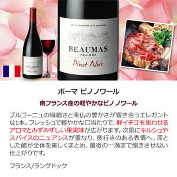 フランス＆イタリア 銘醸2カ国 赤ワイン飲み比べ10本セット【常温便】