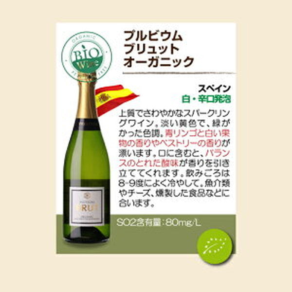 ビオワイン 10本セット【常温便】