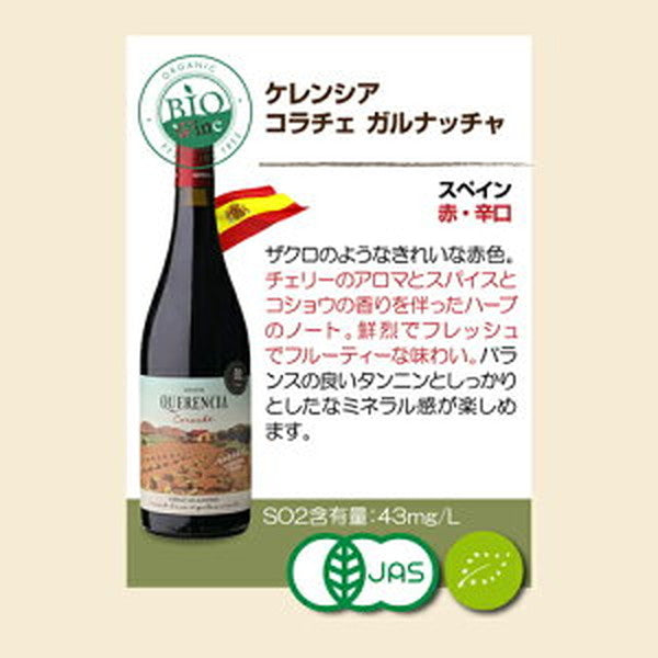 ビオワイン 10本セット【クール便】