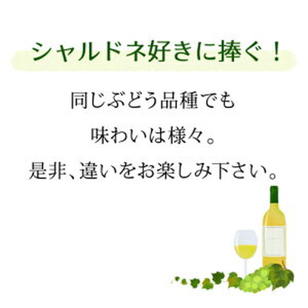 世界のシャルドネ 飲み比べ 5本セット【常温便】