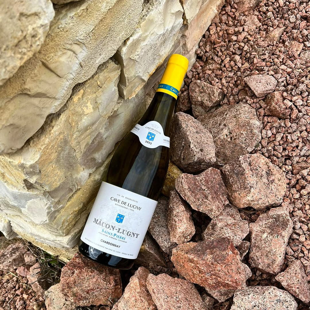 【ギフトカード】マコン ヴィラージュ フランス(白ワイン)