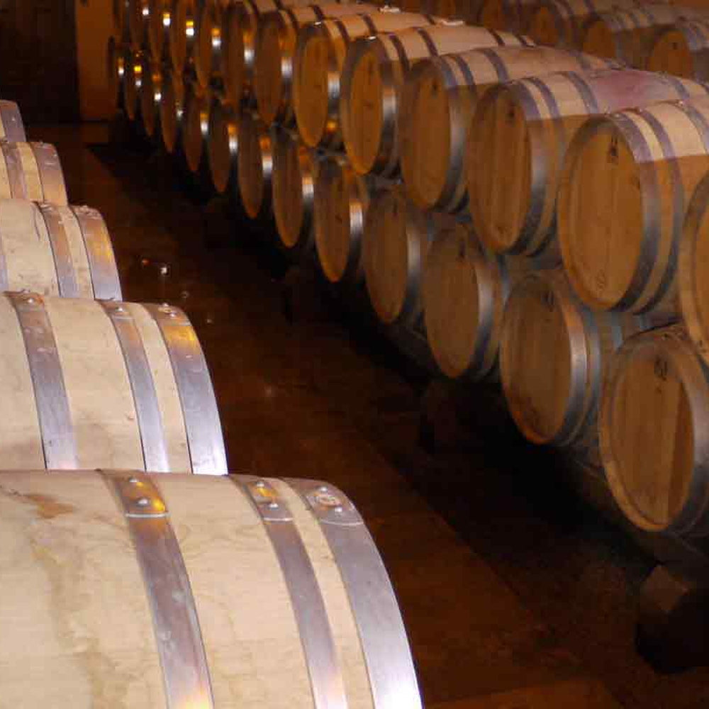 【ギフトカード】ブルゴーニュ ピノ ノワール(ブルーシールド) フランス(赤ワイン)