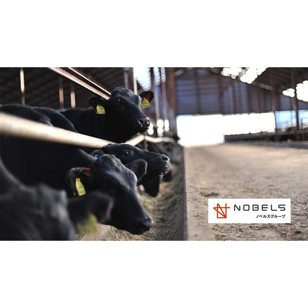 十勝ハーブ牛 プレミアムローストビーフ6個詰め合わせ 【2種 x 3個】