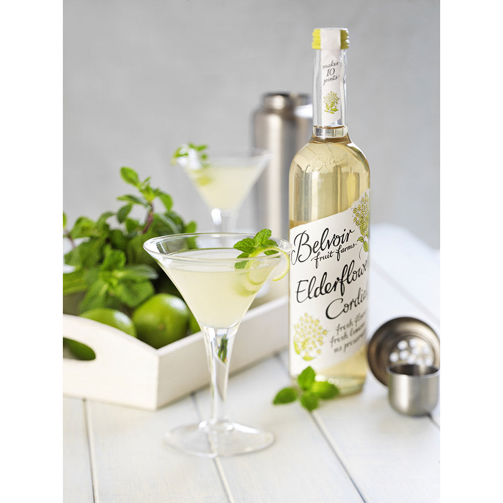 オーガニック コーディアル 500ml 人気の2本セット【エルダーフラワー・ジンジャー】