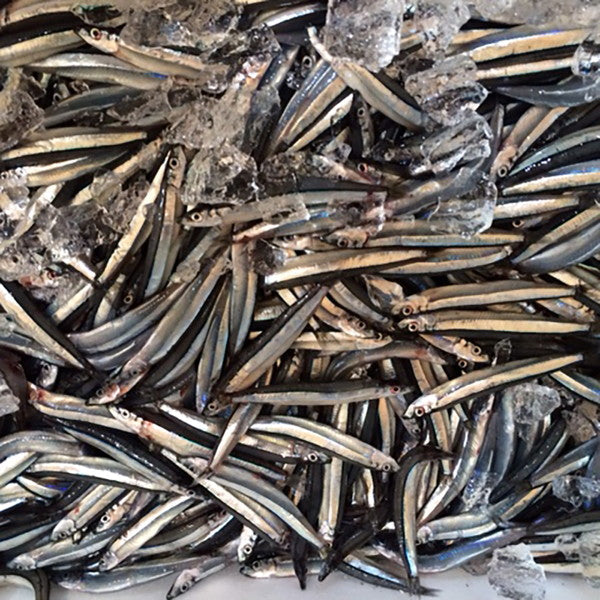 【ギフトカード】出水田鮮魚　干物セットA