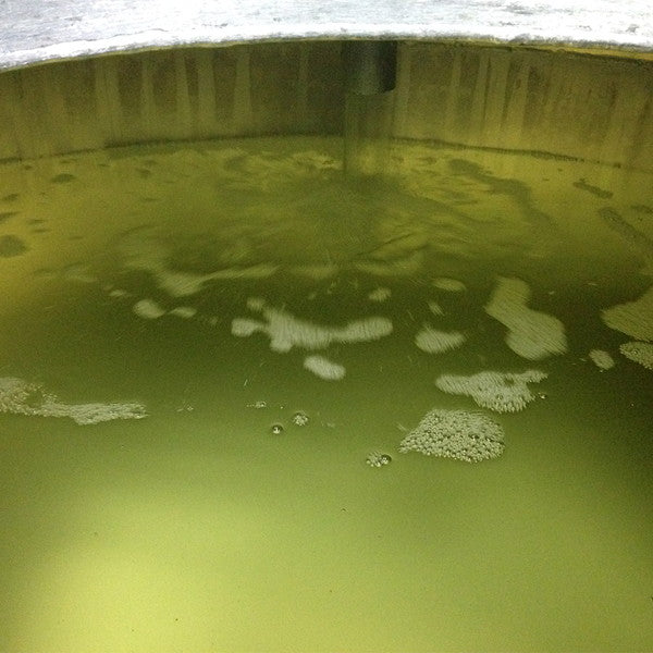 【ギフトカード】「佐々木酒造 聚楽第」リミテッドエディション 1升(1.8L×1本)