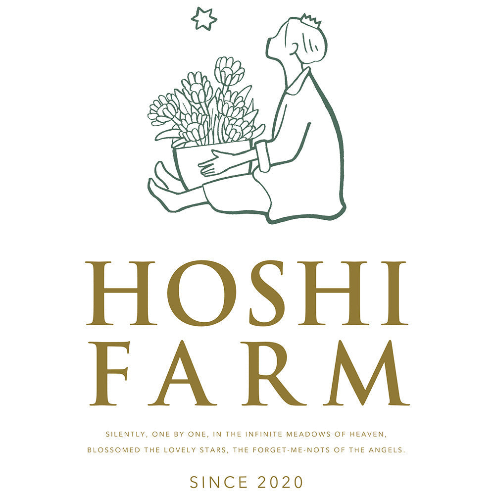 【ギフトカード】ホシファーム フリルブーケ(カラフル8本)&銀座千疋屋 銀座チョコパウンドケーキ