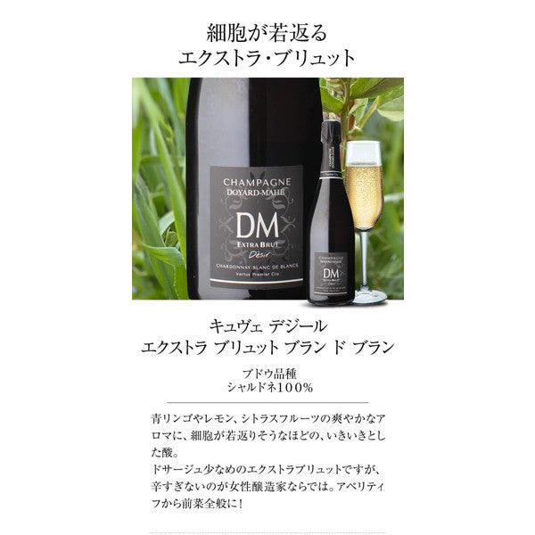 ドヤールマエ(フランス RM シャンパン )飲み比べ 4本セット【常温便】