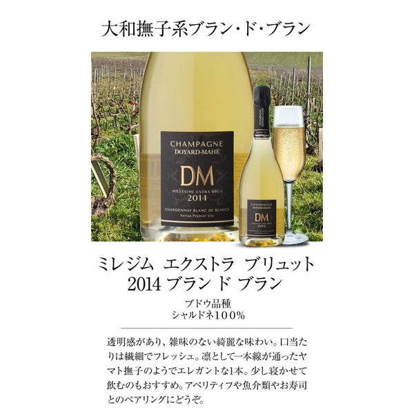 ドヤールマエ(フランス RM シャンパン )飲み比べ 4本セット【常温便】